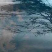 Попередження від синоптиків: Закарпаття накриє штормовий вітер