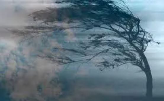 Попередження від синоптиків: Закарпаття накриє штормовий вітер