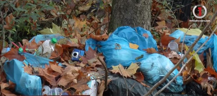 Людська неохайність: на території Боздоського парку в Ужгороді утворюються стихійні сміттєзвалища (ВІДЕО)