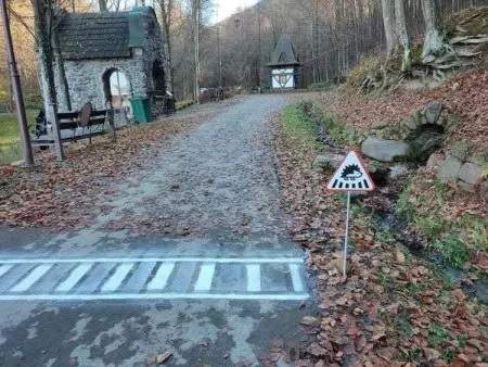 Їжаки на Закарпатті – учасники дорожнього руху: для них облаштували “зебру”