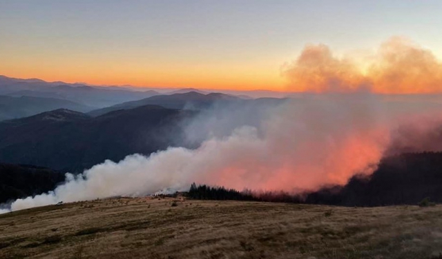 Масштабна пожежа на Рахівщині: понад 100 рятувальників гасили загоряння полонини