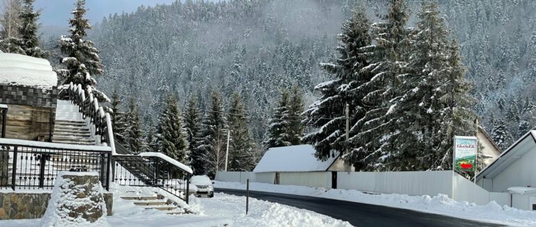 Зимовий ранок: на Закарпатських перевалах сніжить