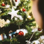 У національному парку «Синевир» на Закарпатті триває акція «Новорічна ялинка»