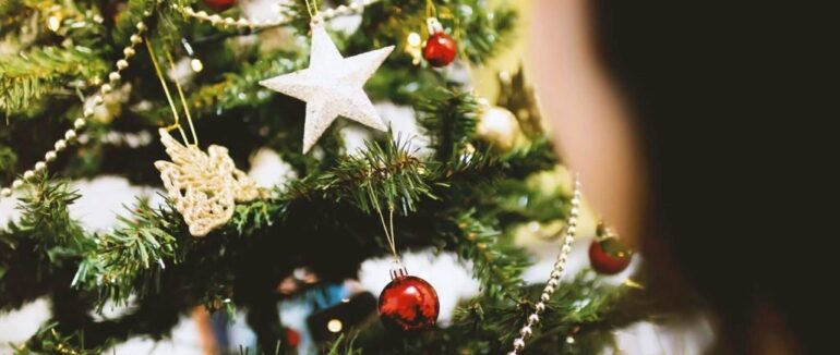 У національному парку «Синевир» на Закарпатті триває акція «Новорічна ялинка»