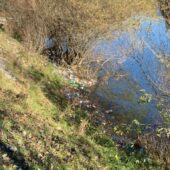 Вздовж річки Теребля виявили стихійне сміттєзвалище