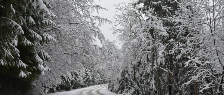 Фото дня: НПП “Синевир” засніжило