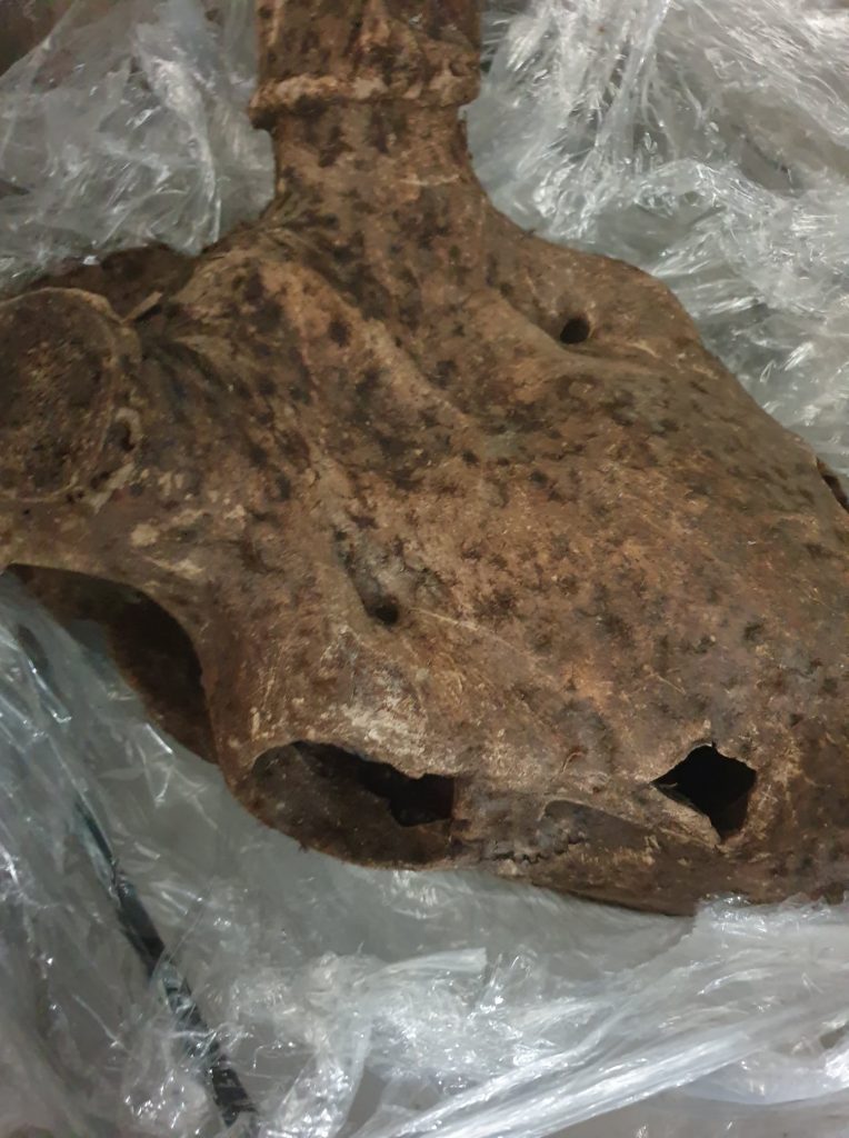 Закарпатські митники не дали вивезти скам’янілі рештки оленя