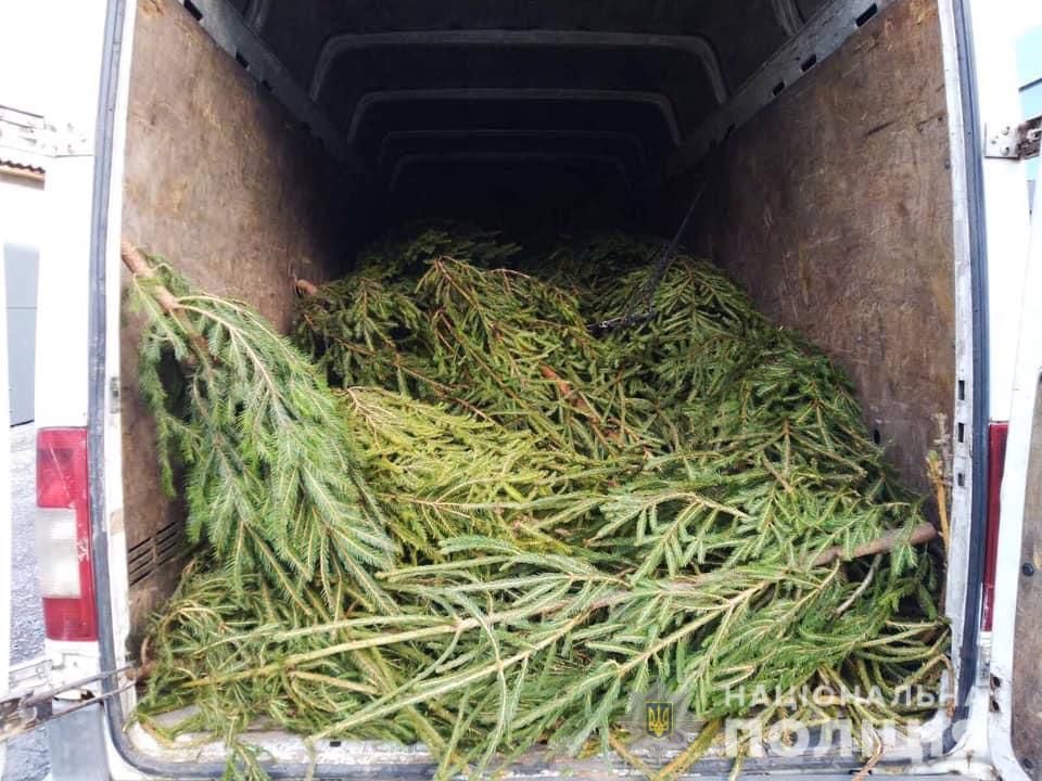 На Закарпатті поліцейські перевіряють ялинкові ринки