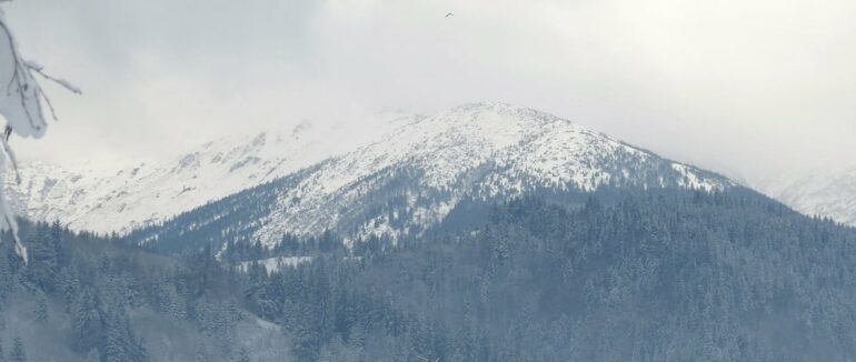 Синоптики попереджають про сніголавинну небезпеку у високогір’ї Карпат