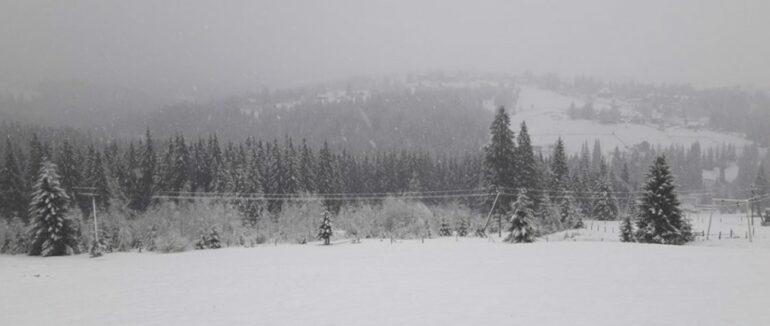 На полонині Крачунеска знайшли туриста