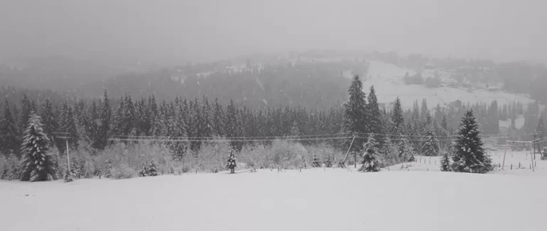 Сніголавинна небезпека: у Карпатах оголосили третій рівень небезпеки