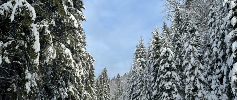 Дороги на перевалах Закарпаття розчистили від снігу