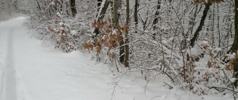На Закарпатті медикам довелося йди пішки 5 км заметеною дорогою, щоб дібратися до хворої жінки
