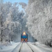 Локомотив зійшов з рейок: на Закарпатті потяги прибувають із запізненням