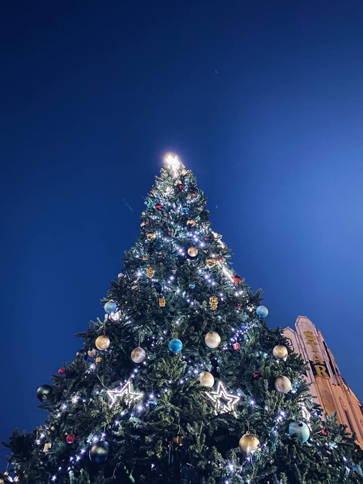 Вже цієї суботи головну ялину Мукачева запалять