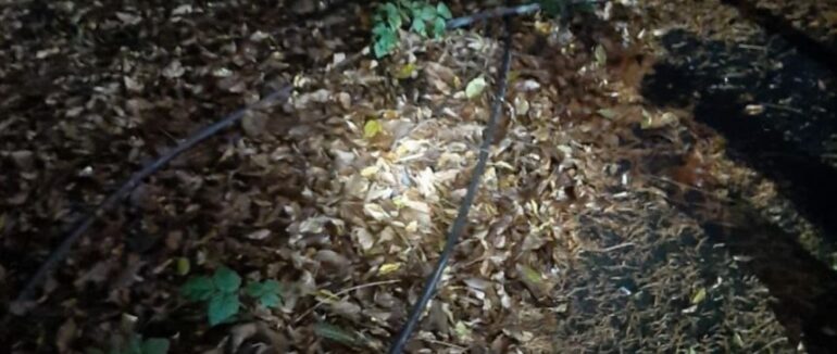 В Ужгороді чоловік намагався викрасти кабель