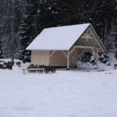 На Міжгірщині створюють Біопарк Синевир: вже завезли перших 30 оленів