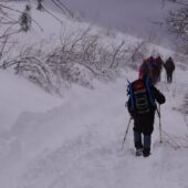 Пішов по дрова і зник: закарпатець, якого шукали рятувальники перебуває у родичів