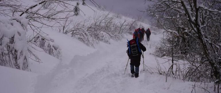 Пішов по дрова і зник: закарпатець, якого шукали рятувальники перебуває у родичів