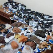 Вночі закарпатські прикордонники виявили 50 кг бурштину у міжнародному потязі