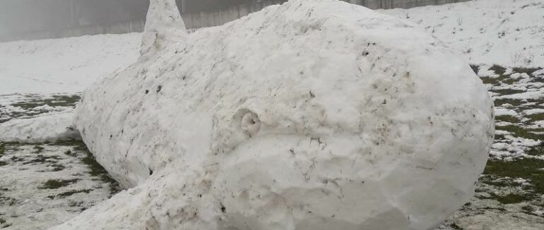 Кит-сніговик у Мукачеві: невідомі зліпили гігантську снігову скульптуру