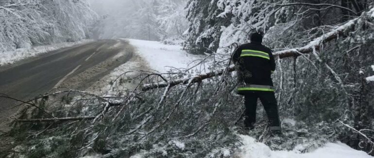 Падіння дерев та підтоплення підвалів: на Закарпатті значно погіршились погодні умови