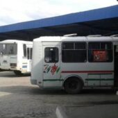 Перевезення пасажирів: оприлюднено тарифи на маршрутки в Мукачівській громаді