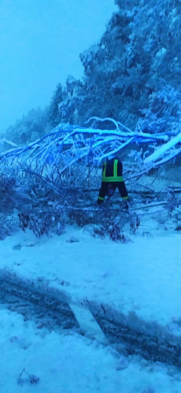 У Мукачівському районі через негоду повалило дерева на дороги
