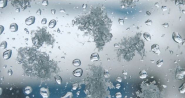 Якою буде погода на Закарпатті цього тижня – синоптики