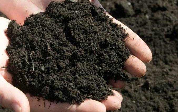 Обіцяв, що придбає землю: закарпатець виманив в іноземця гроші