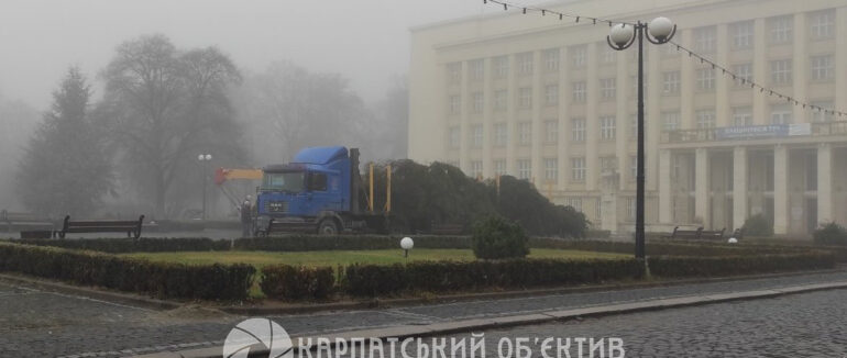В Ужгород привезли головну ялинку області: витрачено майже мільйон грн