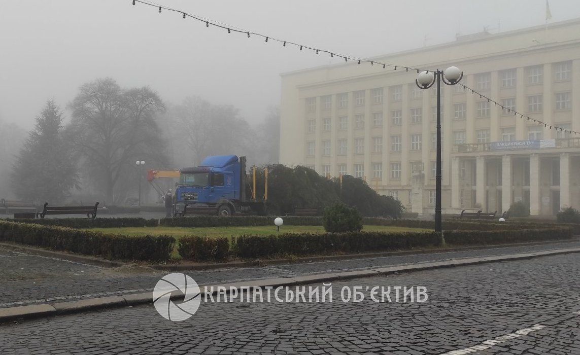 В Ужгород привезли головну ялинку області: витрачено майже мільйон грн
