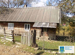 Нанісши майже пів сотні ударів жінці: закарпатця засудили до ув’язнення на 12 років за вбивство