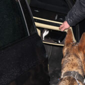 На закарпатському кордоні зупинили чоловіка, який намагався ввезти пістолет і набої