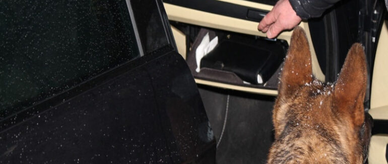 На закарпатському кордоні зупинили чоловіка, який намагався ввезти пістолет і набої