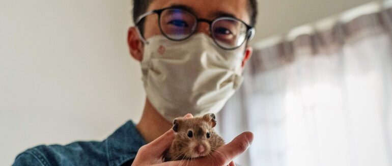 Знищення гризунів: у крамниці в хом’яків виявили COVID-19