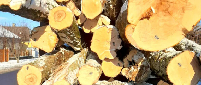 В Ужгороді затримали вантажівку з незаконною деревиною