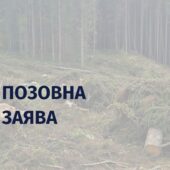 Мукачівське лісогосподарство відшкодує майже 900 тис. грн за незаконні рубки