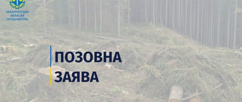 Мукачівське лісогосподарство відшкодує майже 900 тис. грн за незаконні рубки