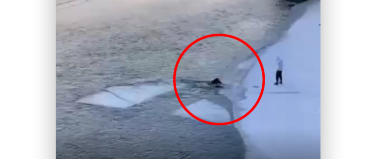 В Ужгороді двоє підлітків гралися на кризі: один упав у річку