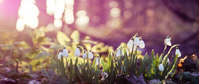 Чи буде рання весна: прогноз погоди на лютий