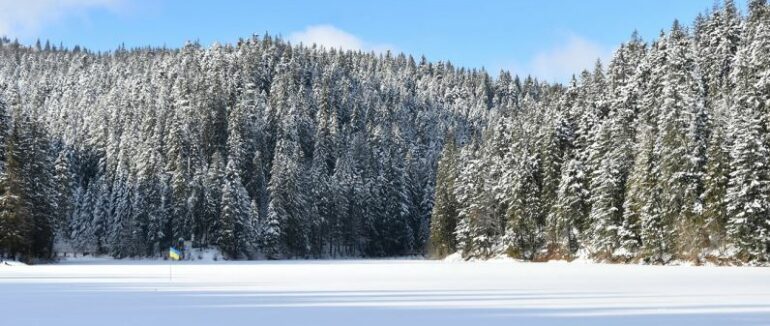 Казкова зима: яскраві кадри засніженого парку Синевир в Карпатах