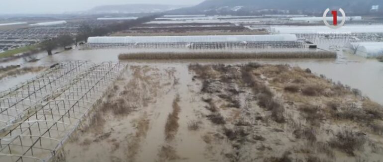 Затоплені сотні гектарів сільгоспугідь: наслідки негоди наробили чимало лиха на Закарпатті (ВІДЕО)