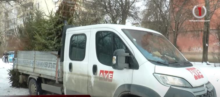 Ялинкова утилізація: як в обласному центрі Закарпаття переробляють зелених красунь (ВІДЕО)