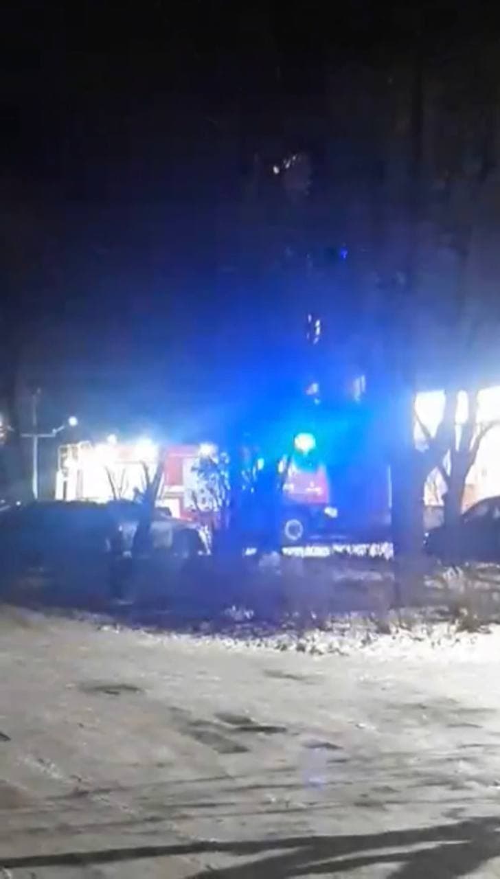 Курйозний випадок: ввечері у Мукачеві рятувальники рятували кота з дерева