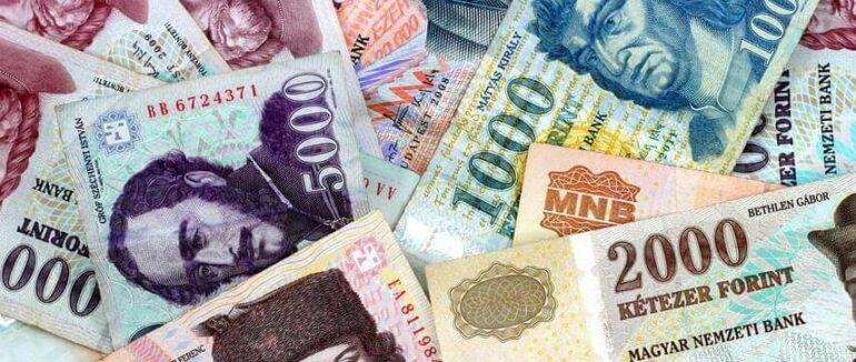 У Берегові поліцейським пропонували хабар угорськими форинтами