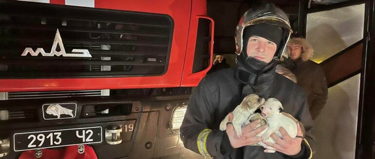 На Хустщині рятувальники винесли з палаючого будинку чотирьох цуценят