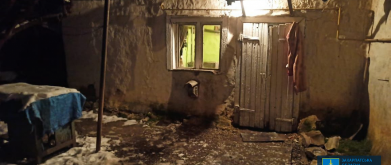 Психічнохворому юнаку, який зарубав свою тітку на Берегівщині, обрано запобіжний захід