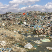 На Закарпатті підозрюють директора товариства у забруднені землі