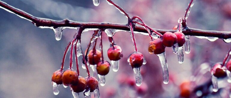 Народне свято 5 лютого: прикмети, заборони і традиції сьогодні